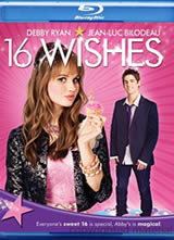 ʮԸ(16 Wishes)